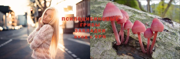 МДМА Карпинск