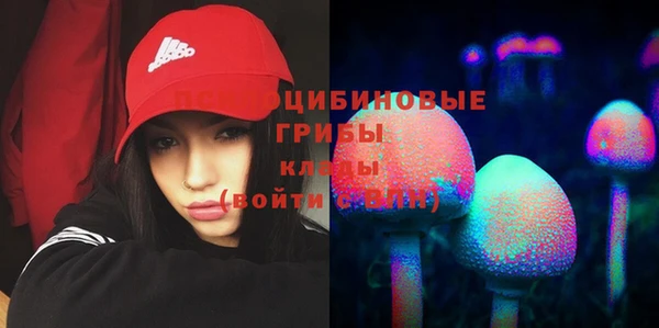 mix Алексин