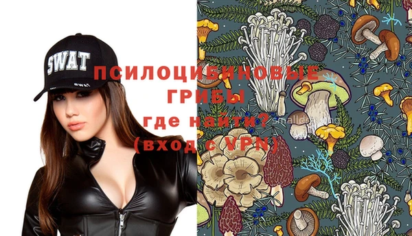 мяу мяу мука Алексеевка